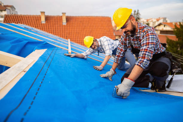 Roof Waterproofing Services in Carrizo Springs, TX