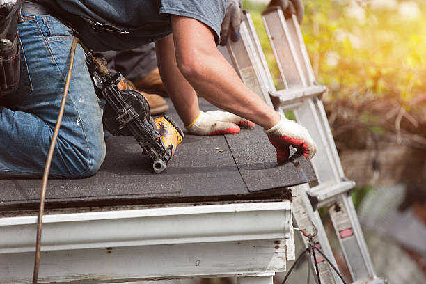 Best Shingle Roofing Installation  in Carrizo Springs, TX
